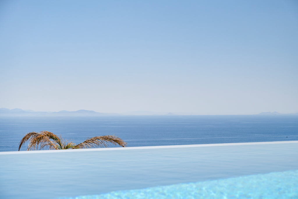 Infinity pool with ocean view and palm trees in the background