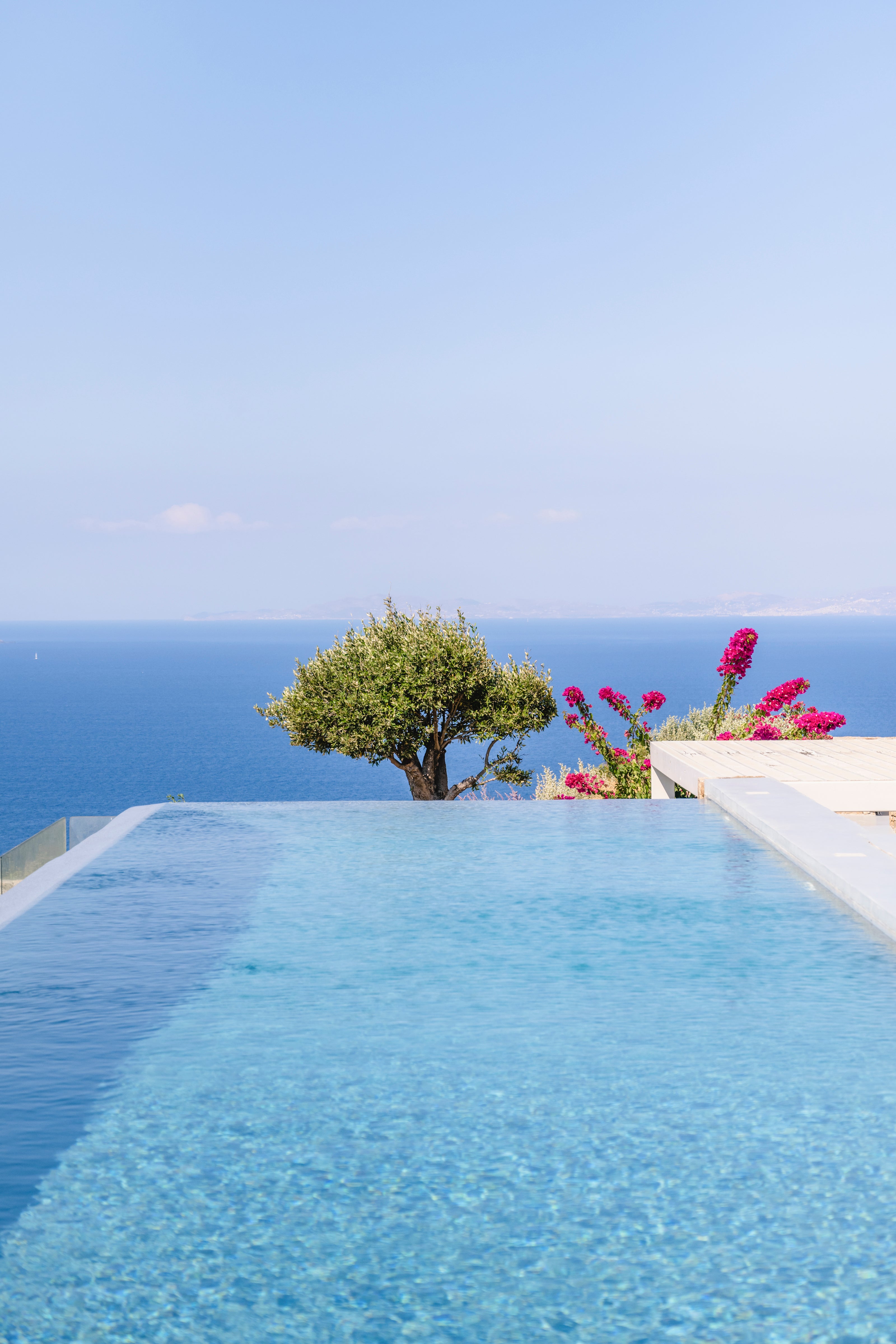 Infinity pool with ocean view and flowers on a clear day