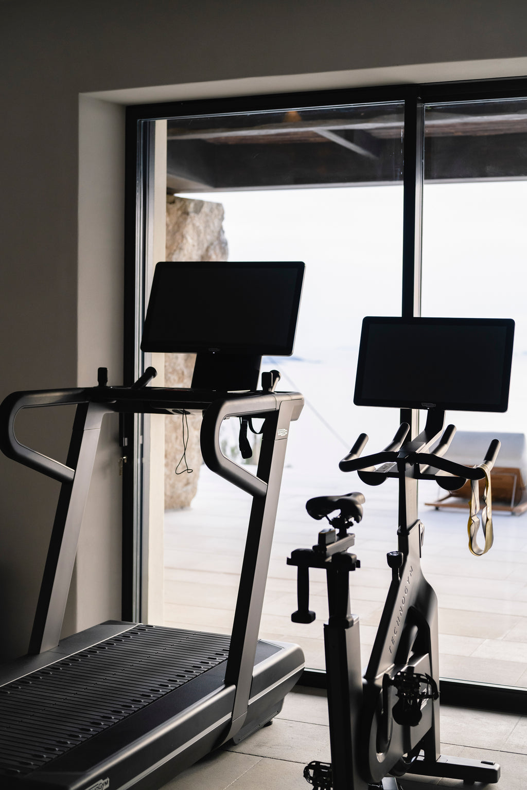Treadmill and stationary bike in a home gym setting with large windows.