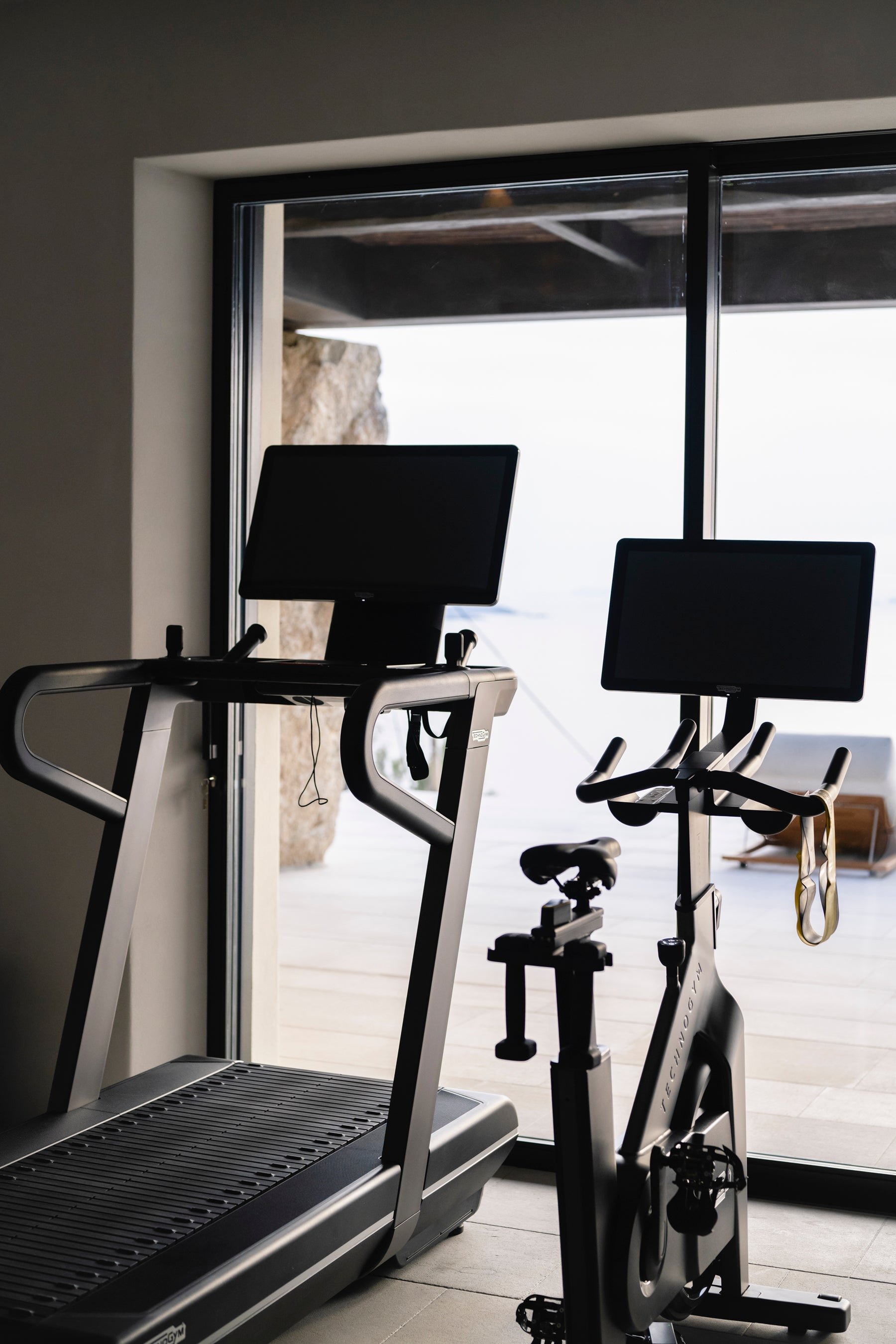 Treadmill and stationary bike in a home gym setting with large windows.