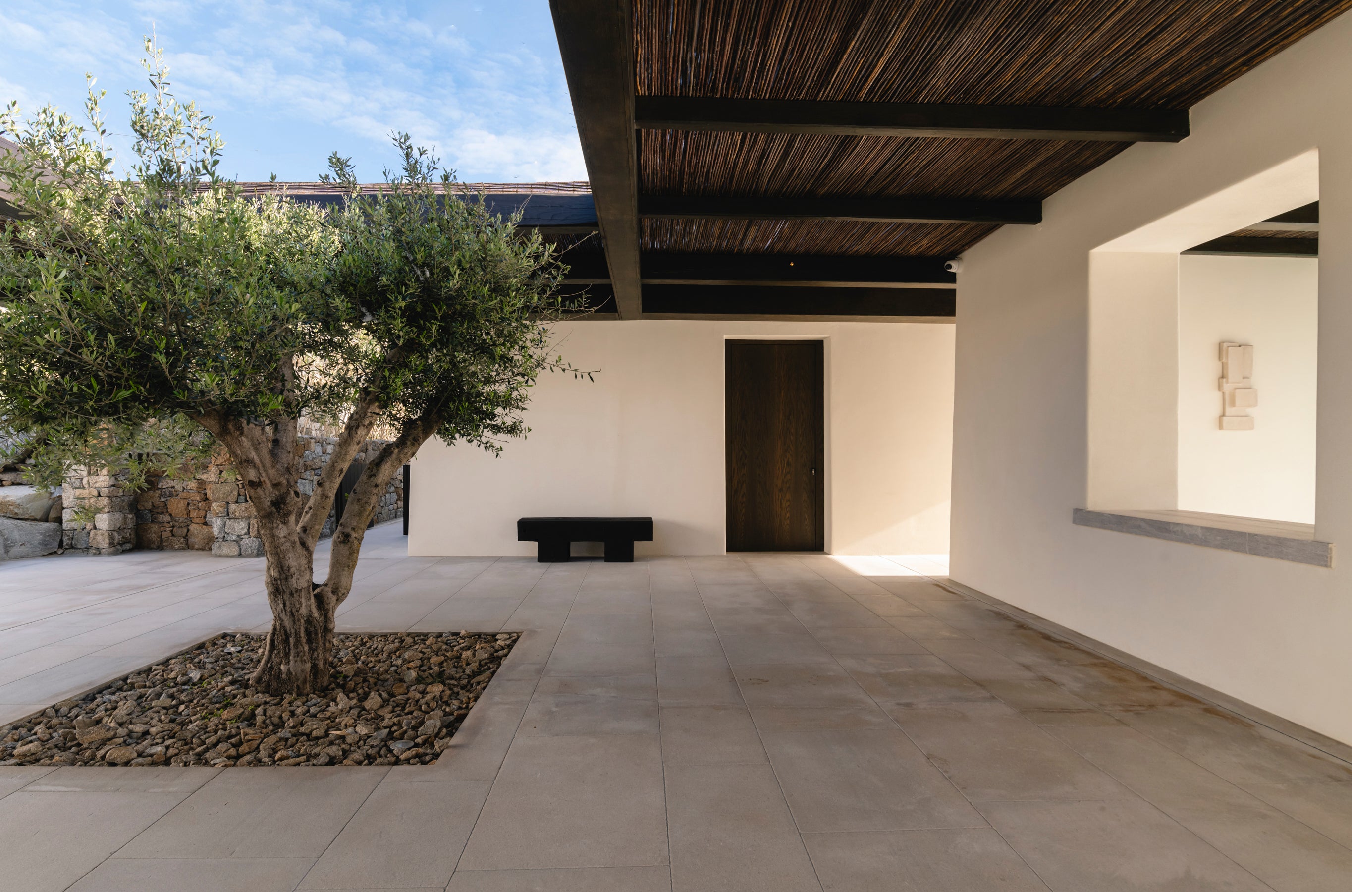 Modern outdoor patio with a tree and bench under a wooden pergola.